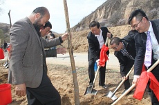 longliqi